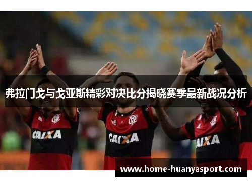 弗拉门戈与戈亚斯精彩对决比分揭晓赛季最新战况分析